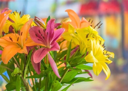 【動画版】女性が書いた男性のための離婚回避マニュアル〜妻と絶対に離婚したくないあなたへ〜